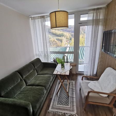 Hearth Hill View Apartment Ustroń Εξωτερικό φωτογραφία
