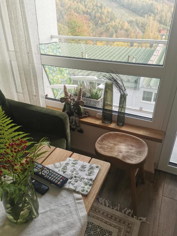 Hearth Hill View Apartment Ustroń Εξωτερικό φωτογραφία