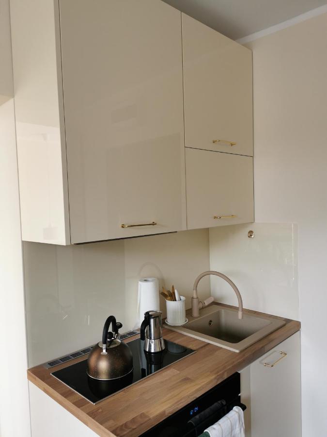 Hearth Hill View Apartment Ustroń Εξωτερικό φωτογραφία