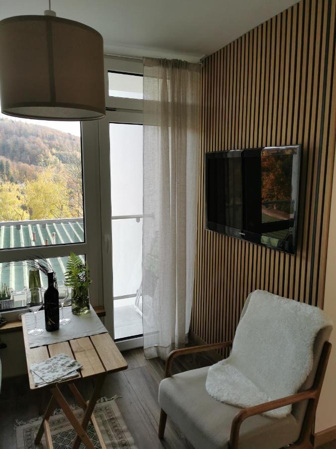 Hearth Hill View Apartment Ustroń Εξωτερικό φωτογραφία