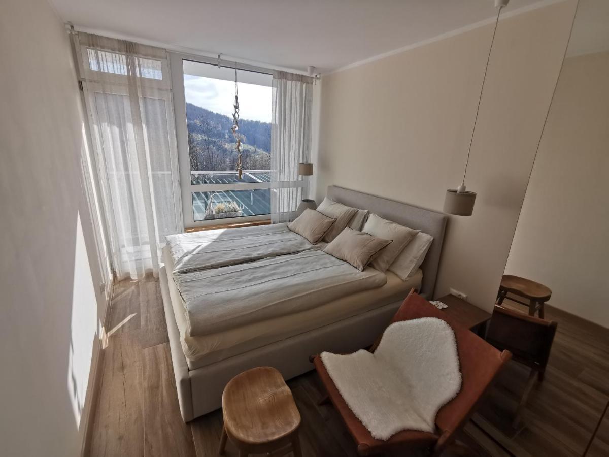 Hearth Hill View Apartment Ustroń Εξωτερικό φωτογραφία