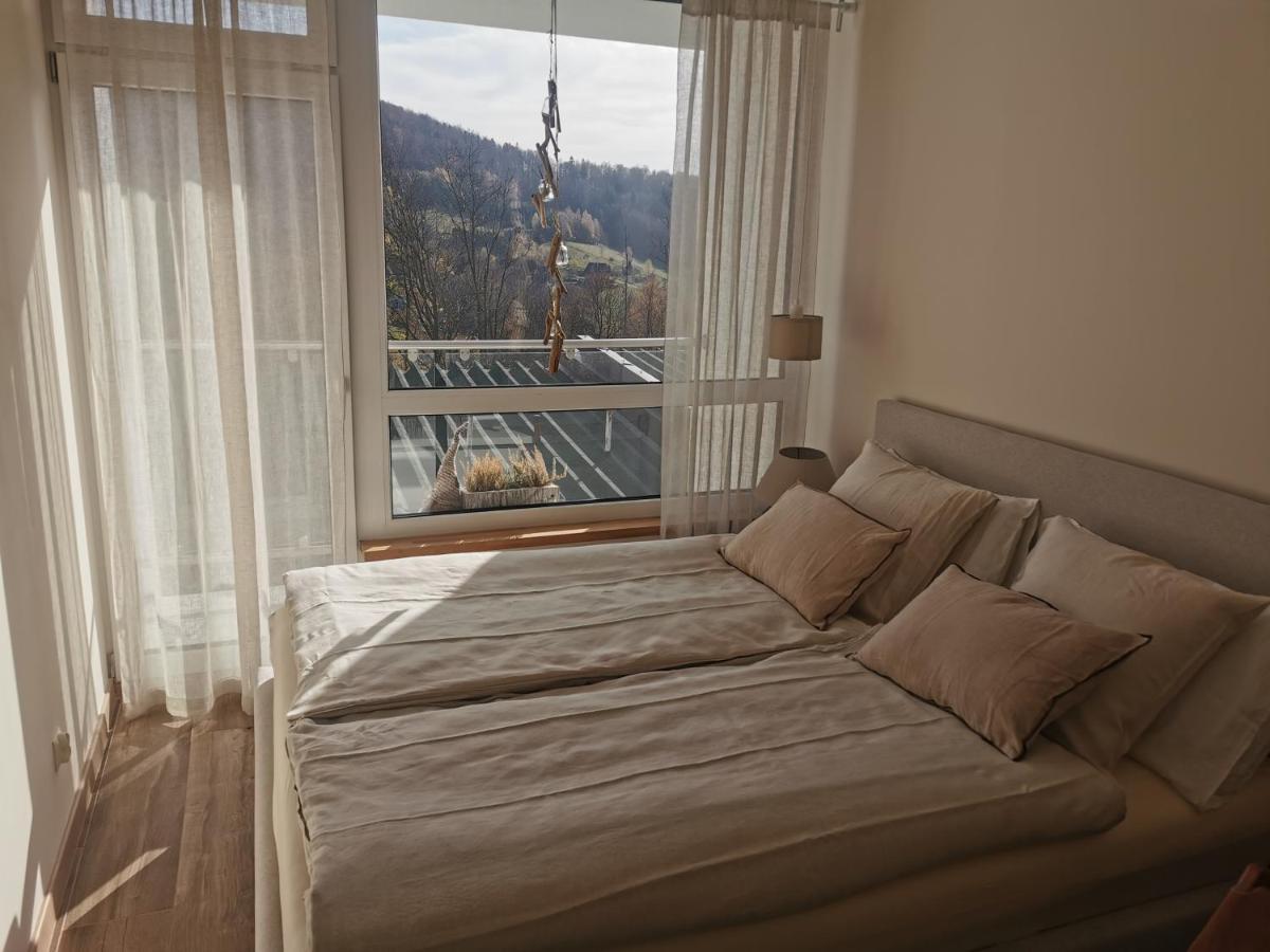 Hearth Hill View Apartment Ustroń Εξωτερικό φωτογραφία