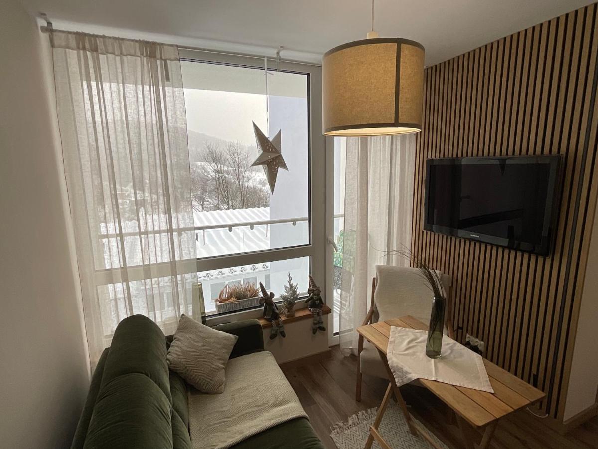 Hearth Hill View Apartment Ustroń Εξωτερικό φωτογραφία