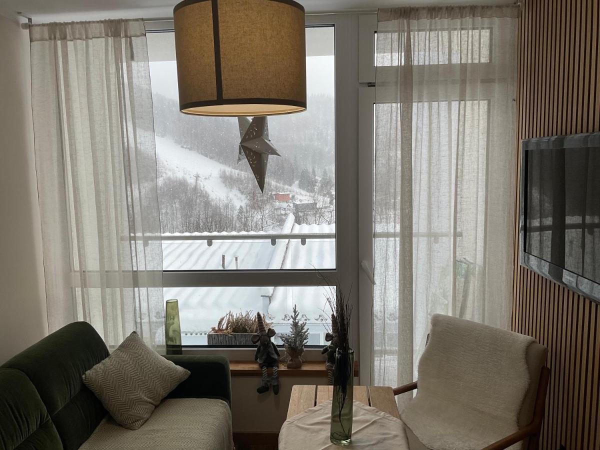 Hearth Hill View Apartment Ustroń Εξωτερικό φωτογραφία