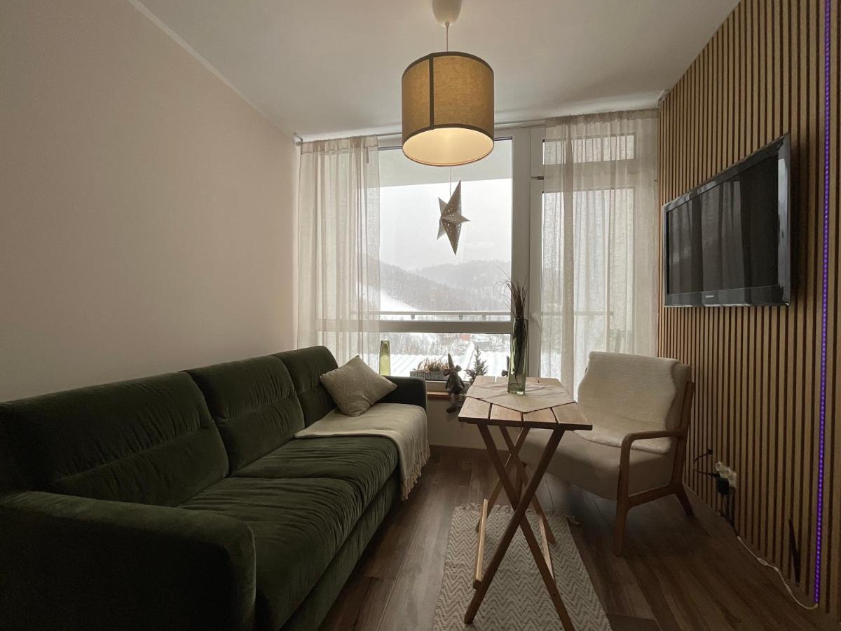 Hearth Hill View Apartment Ustroń Εξωτερικό φωτογραφία